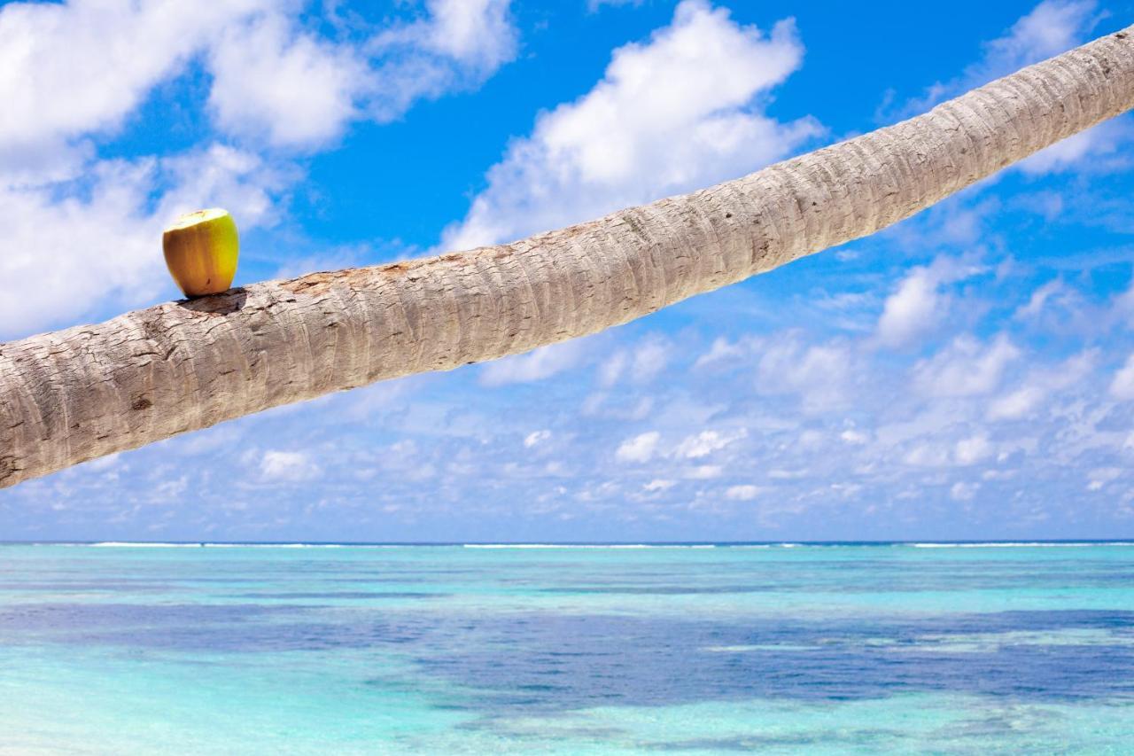 Serene Sky Guest House Thoddoo Exterior foto